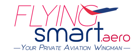Flying Smart Logo